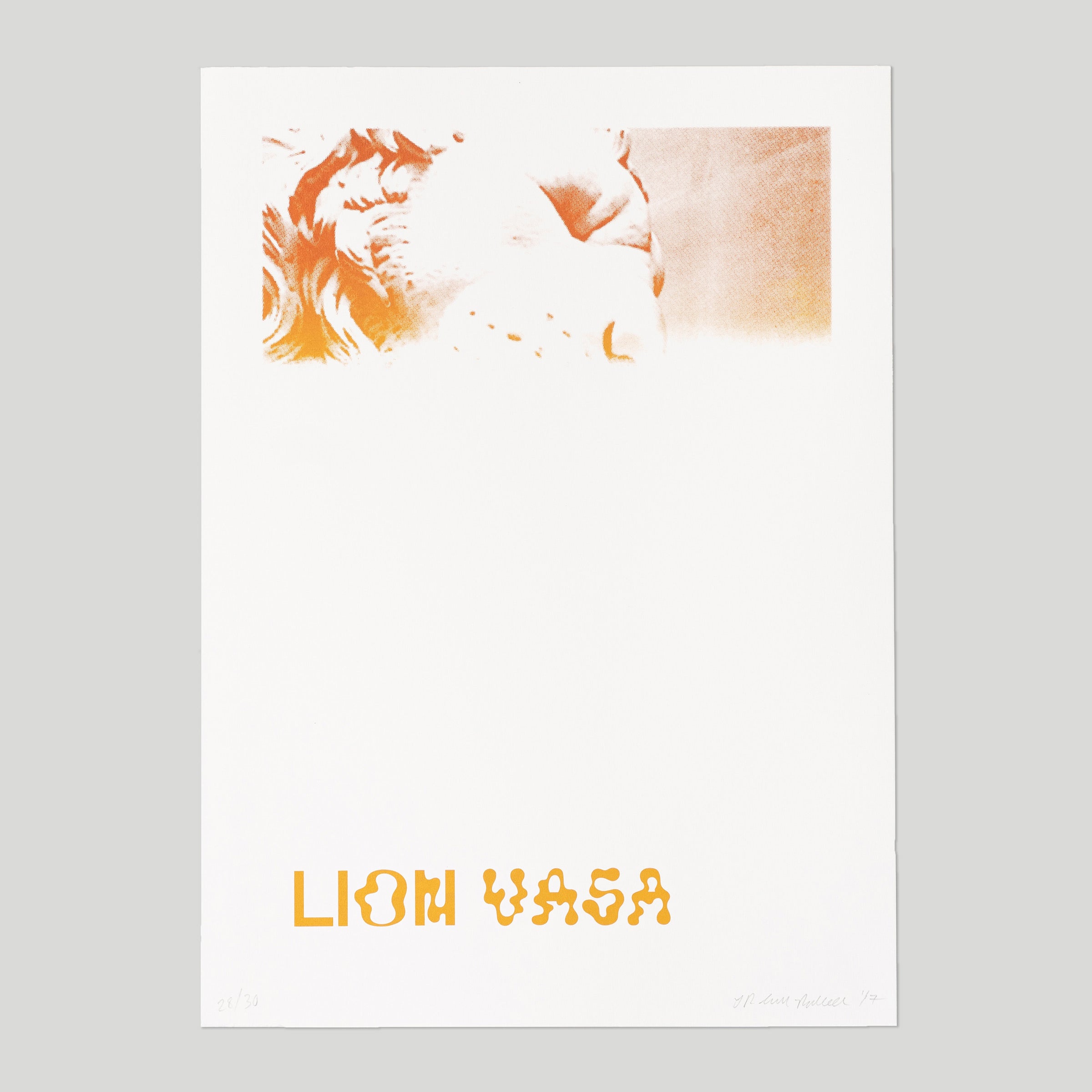 Jessie Flood-Paddock: Lion Vasa — The Tetley Shop