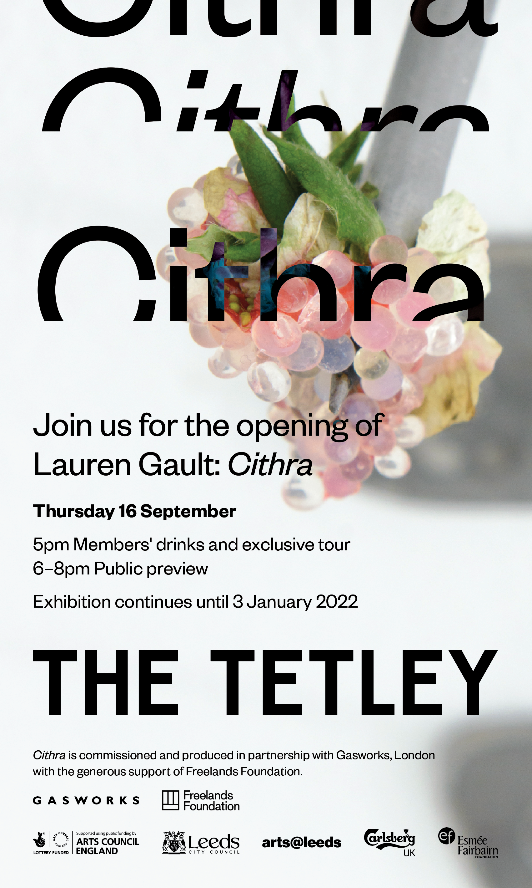 Lauren Gault: Cithra (Public preview) — The Tetley Shop