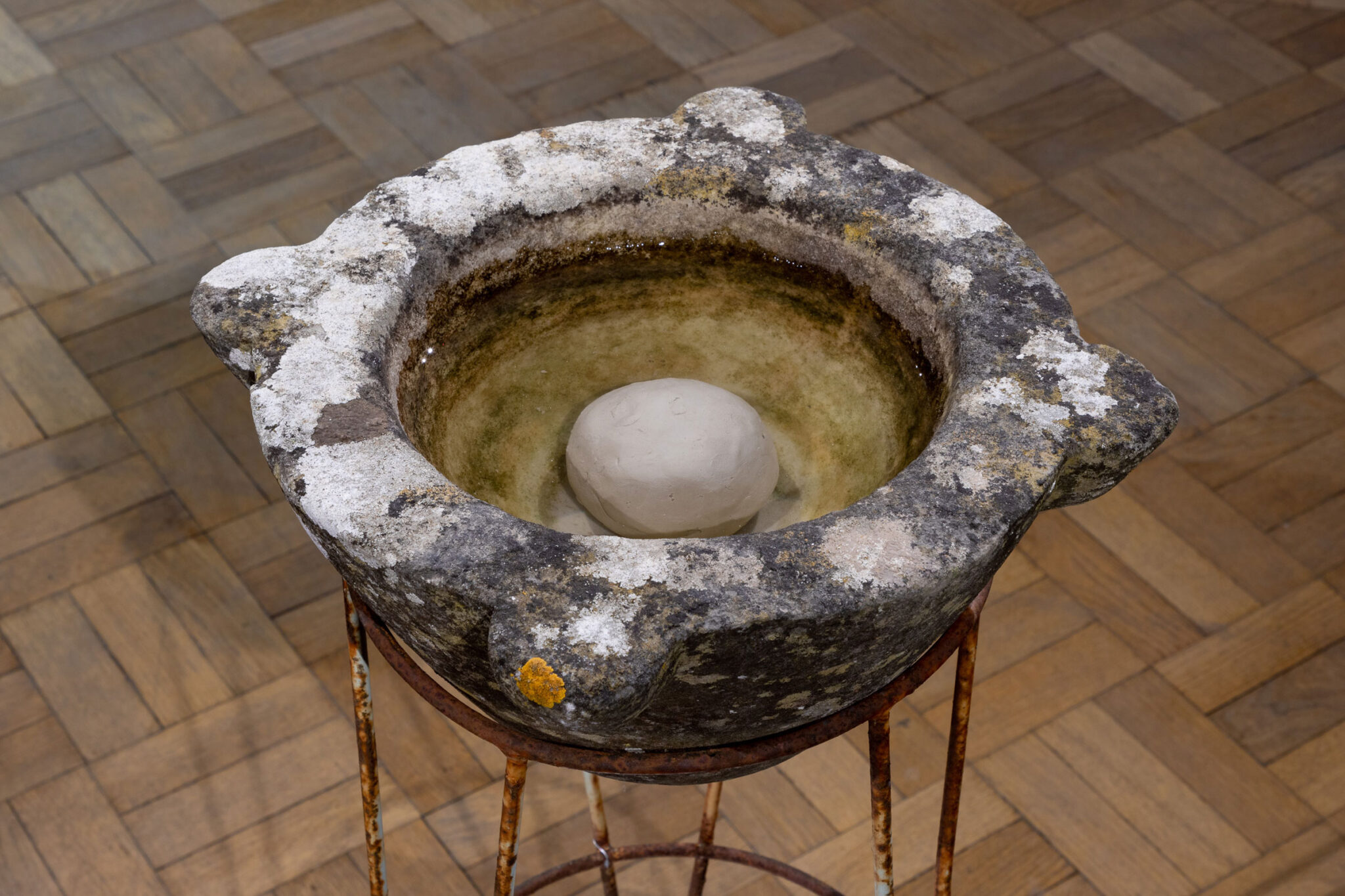 Emily Hesse: The Witches’ Institution (W.I.)