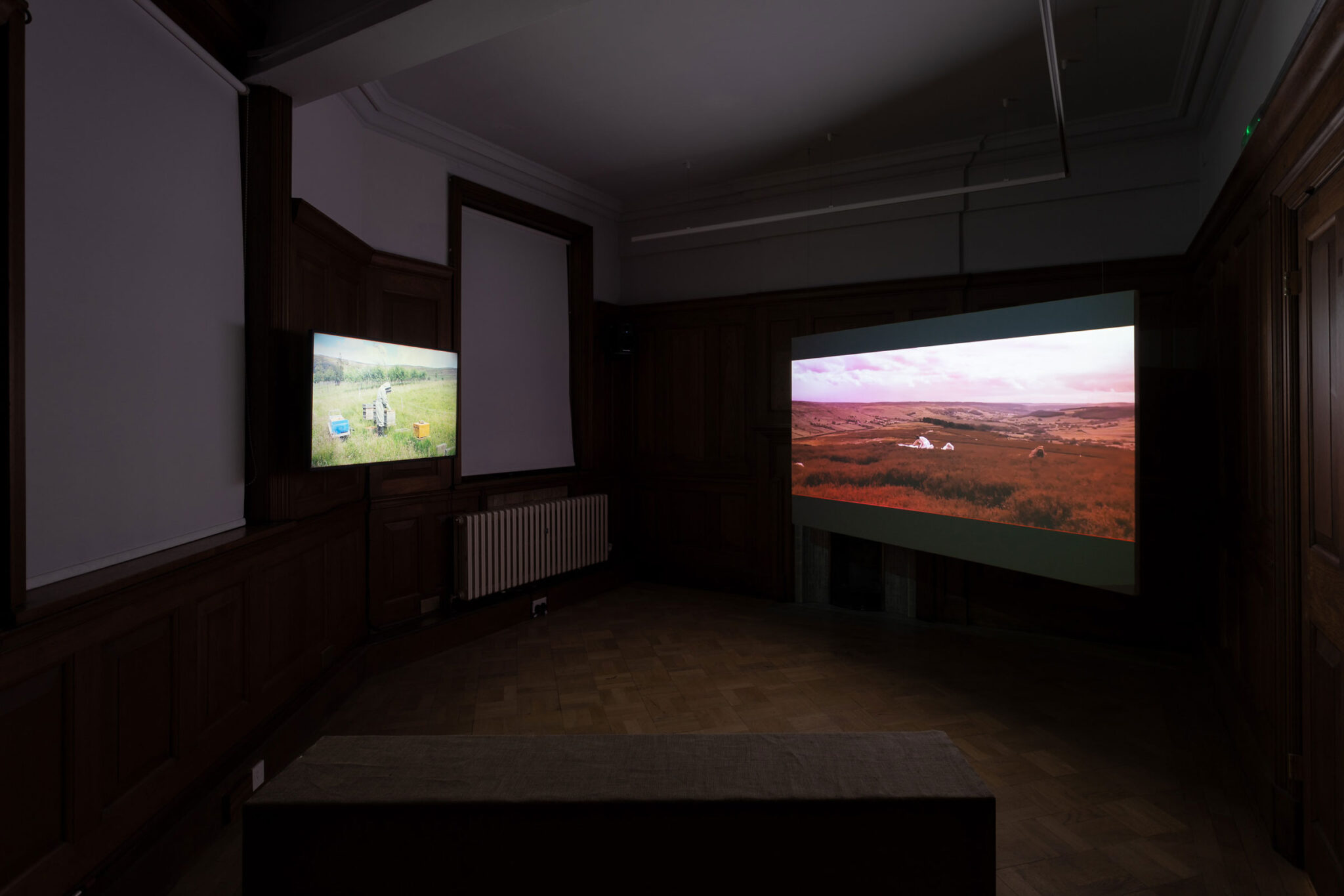 Emily Hesse: The Witches’ Institution (W.I.)