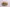 Bao buns