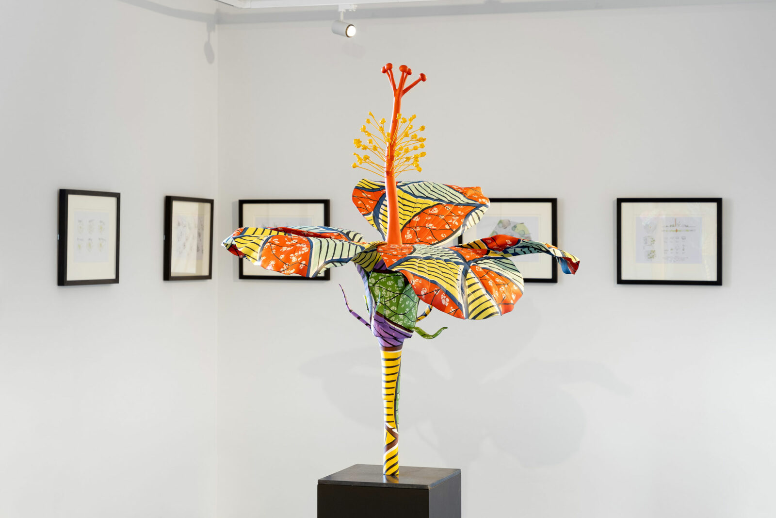 A model of a patterned hibiscus flower with framed photos behind on the wall